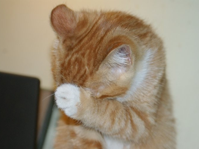 猫咪洗脸.png