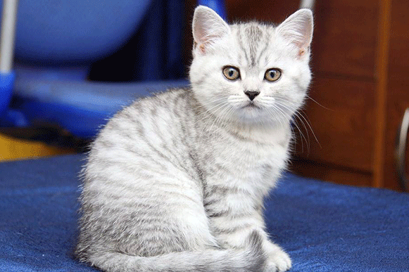 1493372161905297.gif polkjh.gif
