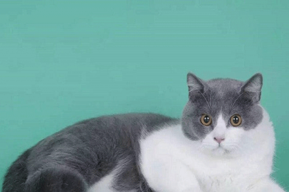 1513236640501409.gif bhjicvgu.gif