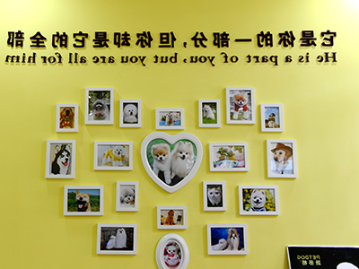 1543559932432259.jpg 400 300 (24).jpg