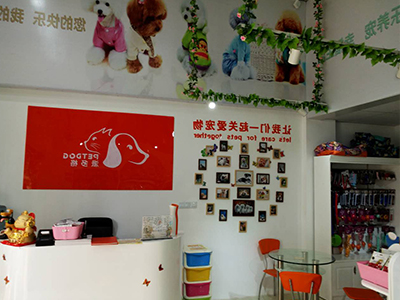 1543992889247548.jpg 400 300 (31).jpg
