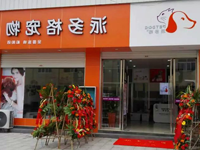 为薪酬学宠物美容何不加盟宠物店? 为薪酬学宠物美容何不加盟宠物店?